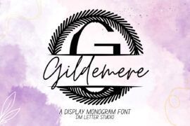 Gildemere Split Monogram Font