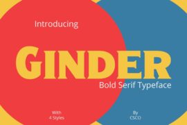 Ginder Demo Font