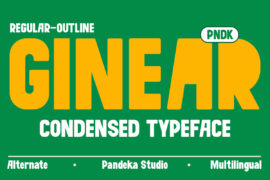 Ginear DEMO Font