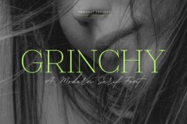 Grinchy Font