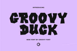 Groovy Duck Font