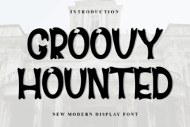 Groovy Hounted Font