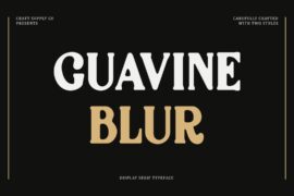 Guavine Blur Demo Font