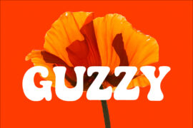 Guzzy Font