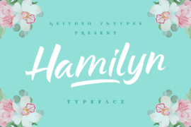 Hamilyn Font