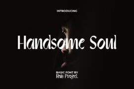 HandsomeSoulDemo Font