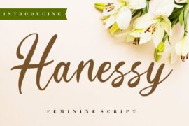 Hanessy Font