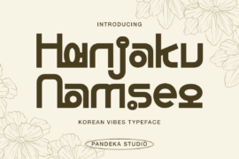 Hanjaku Namseo DEMO Font