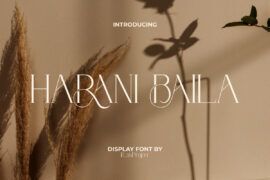 Harani Baila Demo Font