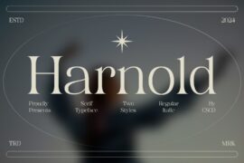 Harnold Demo Font