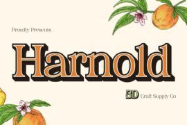 Harnold Extrude Right Demo Font