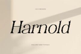 Harnold Pixel Demo Font