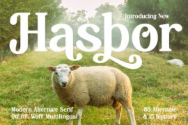 Hasbor Font