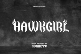 HawkgirlDemo Font