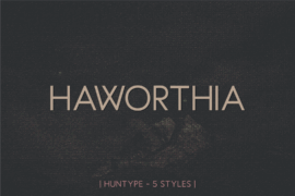 Haworthia Font