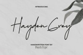 Hayden Grey Demo Font