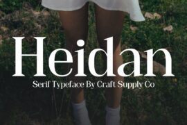 Heidan Demo Font