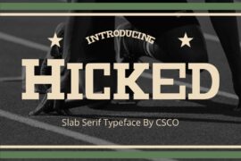 Hicked Demo Font
