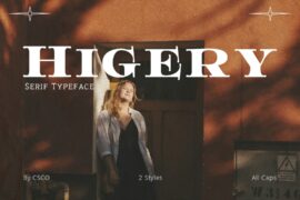 Higery Demo Font