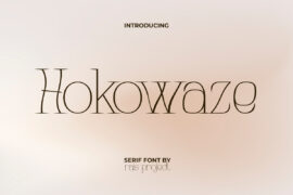 HokowazeDemo Font