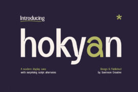 Hokyan Font