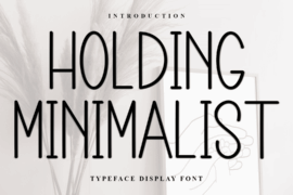 Holding Minimalist Font