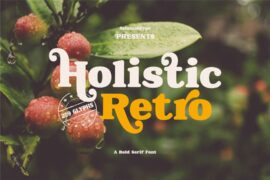 Holistic Retro Personal Font