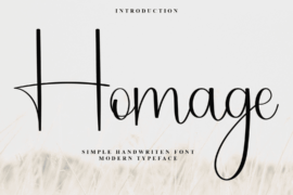 Homage Vibes Font