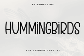 HUMMINGBIRDS Font
