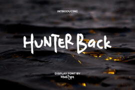 Hunter Back Demo Font