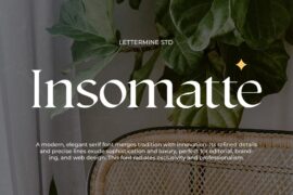 Insomatte Demo Font