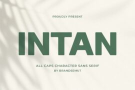 Intan Font