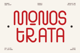 IT Monostrata DEMO Font Family