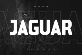 JAGUAR Font