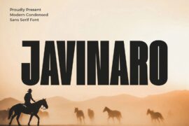 Javinaro Font