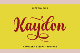 Kaydon Font