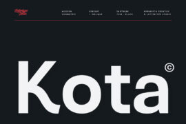 Kota Sans Demo Font Family