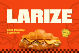 LARIZE Font
