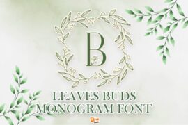 Leave Buds Monogram Font