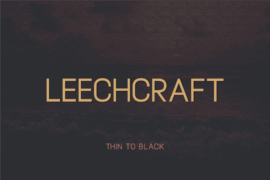 Leechcraft Font