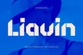 Liavin Demo Font