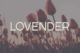 Lovender Font