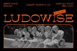 Ludowise Stamp Demo Font