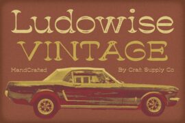 Ludowise Vintage Demo Font