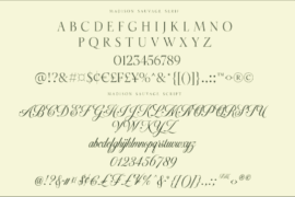 Madison Sauvage Font