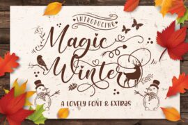 Magic Winter Font Family