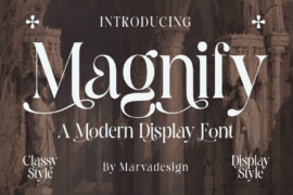 Magnify Font