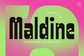Maldine Demo Font