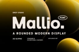 Mallio Demo Font