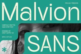 Malvion Demo Font